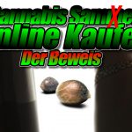 Cannabis samen Online Kaufen in Deutschland